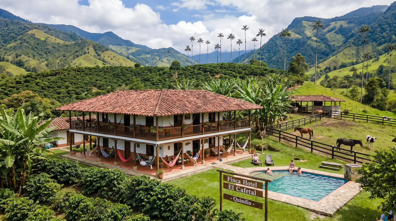 Valle del Cocora